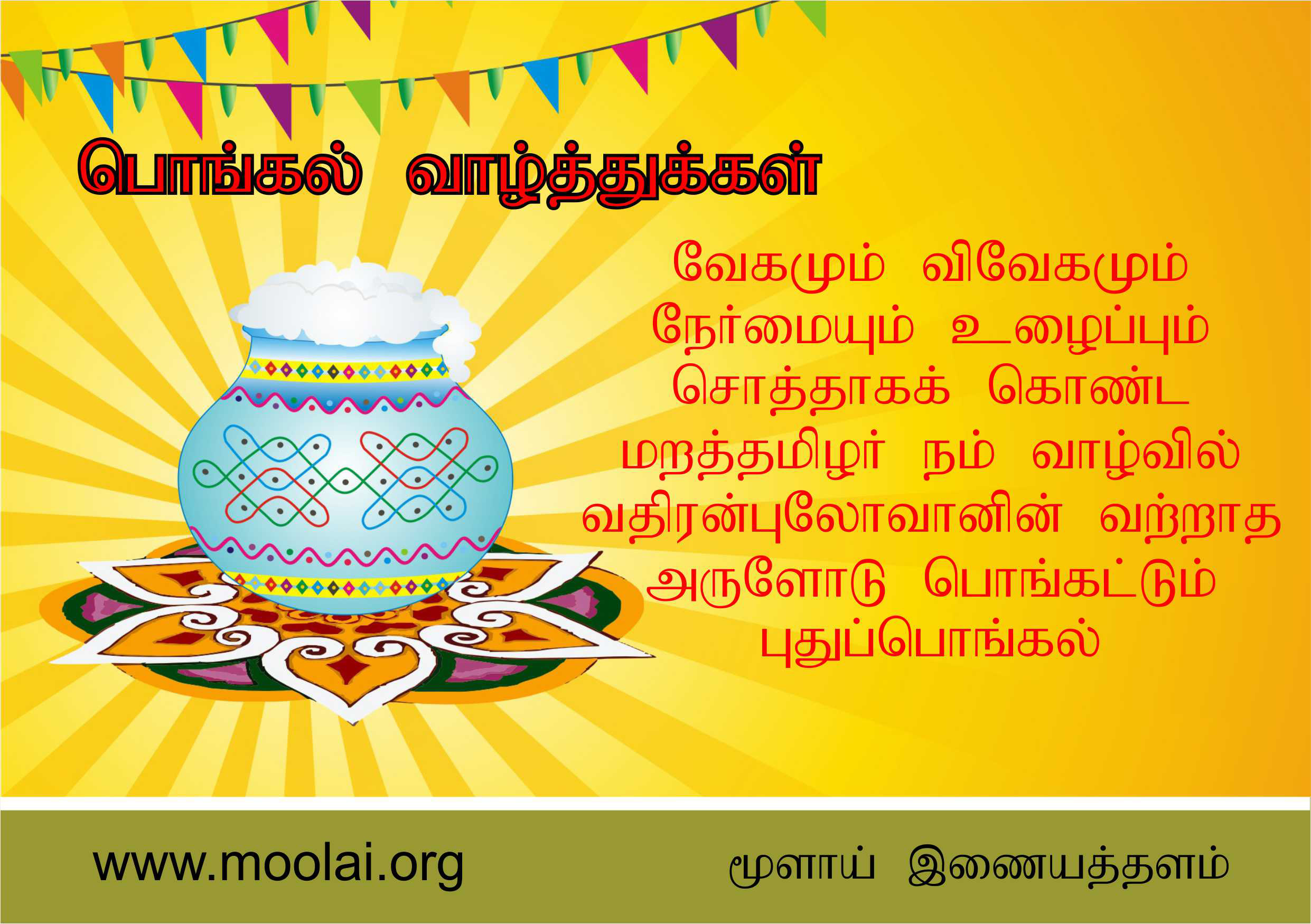 Pongal Wishes 2013